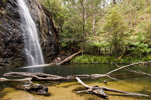 Boundary Falls Washpool National Park New South Wales Australia