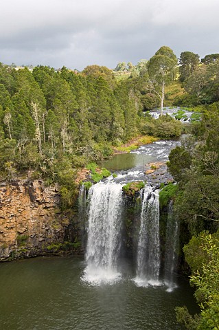 Dangar Falls Dorrigo National Park New South Wales Australia