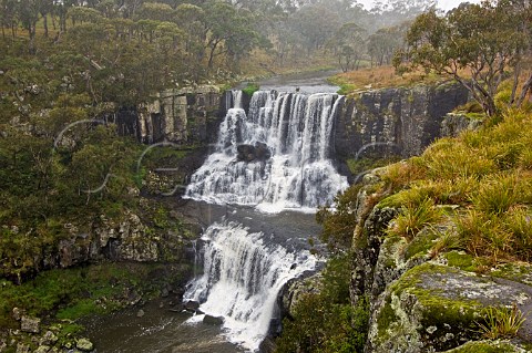 Ebor Falls Cathedral Rock National Park New South Wales Australia