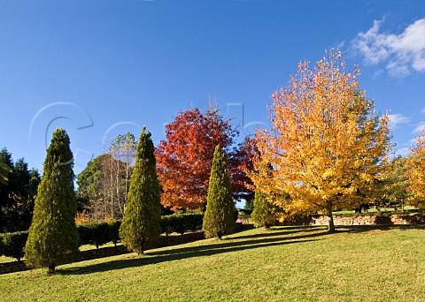 Bebeah Garden in autumn at Mount Wilson Blue Mountains New South Wales Australia