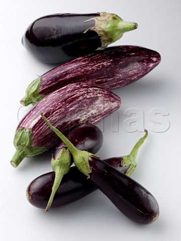 Variegated and baby aubergines