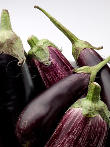 Variegated and baby aubergines