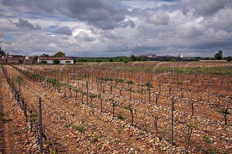 Vineyards in spring with the Ducal Palace of Lerma now a Parador in distance Burgos province Castilla y Len Spain DO Arlanza