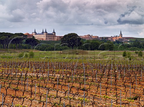 Vineyard in spring with the Ducal Palace  now a Parador in distance Lerma Burgos province Castilla y Len Spain DO Arlanza