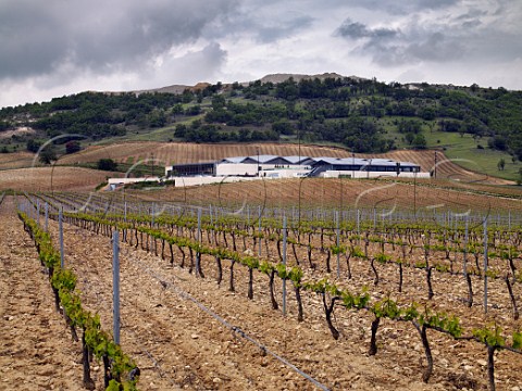 Vineyards in spring at Bodegas Cepa 21 near Peafiel Castilla y Len Spain  DO Ribera del Duero