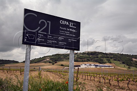 Sign in vineyard at Bodegas Cepa 21 near Peafiel Castilla y Len Spain  DO Ribera del Duero