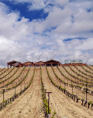 Bodegas Duron above its vineyard in spring  Roa de Duero Castilla y Len Spain Ribera del Duero
