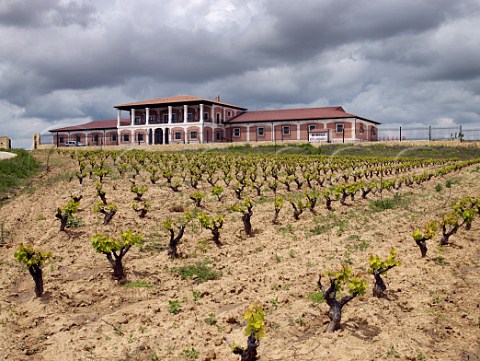 Bodega Via Solorca and its Tinto Fino vineyard in spring  Roa de Duero Castilla y Len Spain Ribera del Duero