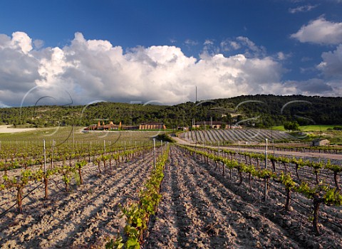 Bodegas Via Mayor and its vineyards in spring  Quintanilla de Onsimo Castilla y Len Spain Ribera del Duero