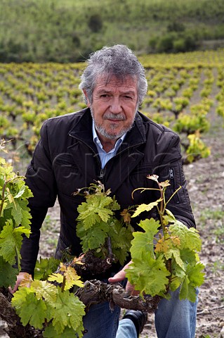 Mariano Garca and old Tinto Fino vines in Via La Oliva of Bodegas Mauro Tudela de Duero near Valladolid Castilla y Len Spain