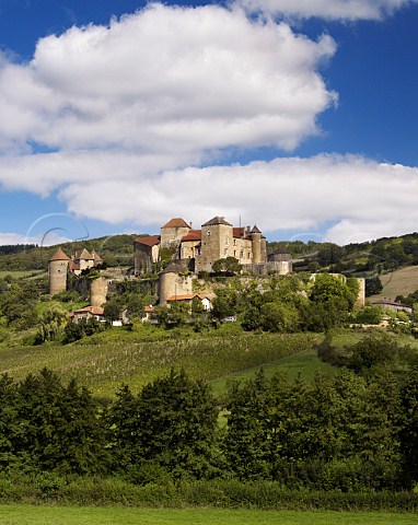 Vineyard below BerzleChtel near Cluny SaneetLoire France Mconnais
