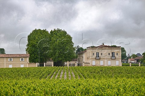 Chteau MarquisdeTerme and vineyards Margaux Gironde France Margaux  Bordeaux