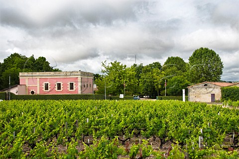 Chteau Siran and its vineyards Labarde Gironde France Margaux  Bordeaux