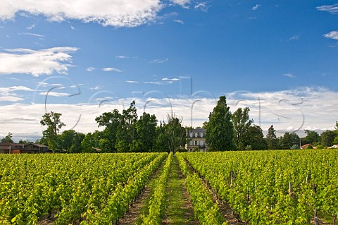 Chteau Paloumey and vineyards LudonMdoc Mdoc Gironde France HautMdoc  Bordeaux