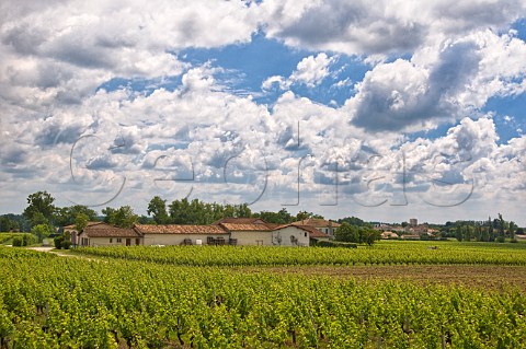 Chteau Anthonic MoulisenMdoc Gironde France MoulisenMdoc  Bordeaux