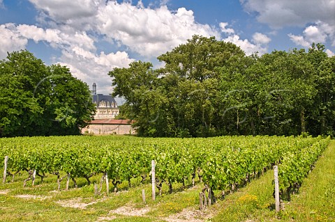Chteau Lestage and vineyards MoulisenMdoc Gironde France ListracMdoc  Bordeaux