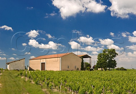 Chteau Fourcas Loubaney ListracMdoc Gironde France ListracMdoc  Bordeaux
