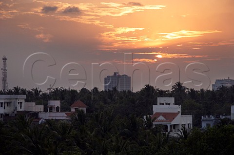 Sunset over palms and buildings Laxmana Nagar Kottivakkam Chennai Madras India