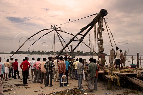 Locals watching as Indian men pull in the Chinese fishing nets along the northern shore of Fort Cochin Kochi Cochin Kerala India