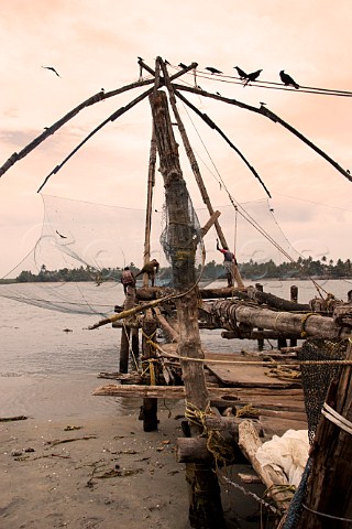 Indian men working with the Chinese fishing nets along the northern shore of Fort Cochin Kochi Cochin Kerala India