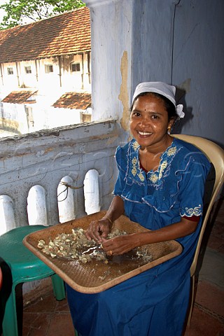 Indian woman peeling garlic clovesKochi Cochin Kerala India