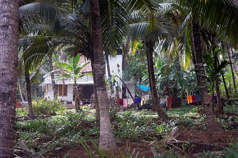 Indian house and washing line amongst the palm trees at Costa Malabari near Kannur Cannanore on the CochinMysore  CochinGoa route North Kerala India