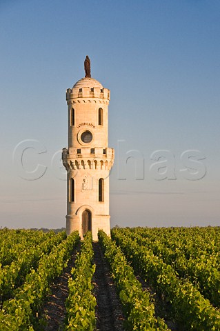 Latour dAspic tower in vineyards of Chteau HautBatailley Pauillac Gironde France Pauillac  Bordeaux
