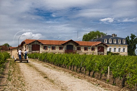 Horse and trailer in vineyard of Chteau PontetCanet Pauillac Gironde France Pauillac  Bordeaux