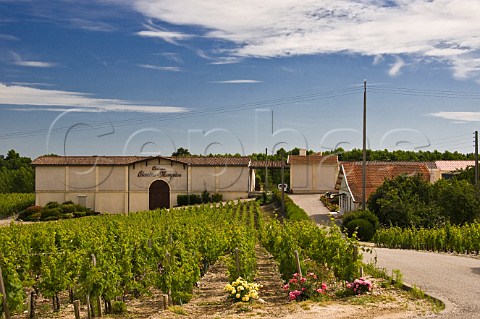 Chteau ColombierMonpelou and its vineyards Pauillac Gironde France Pauillac  Bordeaux