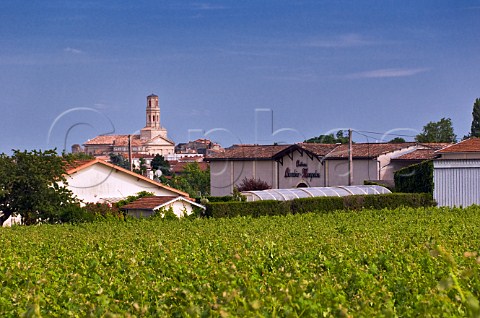Chteau ColombierMonpelou and its vineyard with the church of Pauillac in the distance Gironde France Pauillac  Bordeaux