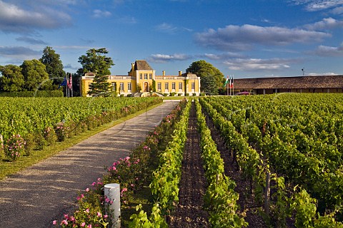 Chteau LafonRochet viewed over its vineyard StEstphe Gironde France StEstphe  Bordeaux