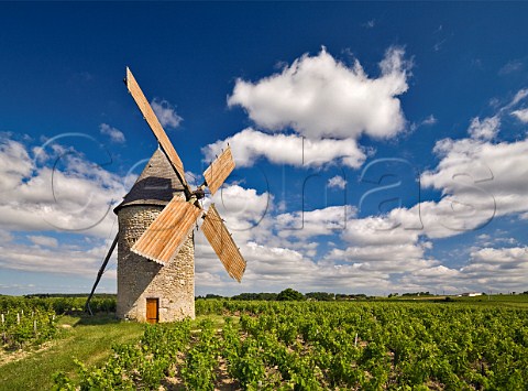 Moulin de Courrian in vineyard of Chteau TourHautCaussan Blaignan Gironde France Mdoc  Bordeaux