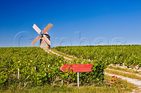 Moulin de Courrian in vineyard of Chteau TourHautCaussan Blaignan Gironde France Mdoc  Bordeaux