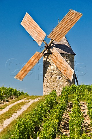 Moulin de Courrian in vineyard of Chteau TourHautCaussan Blaignan Gironde France Mdoc  Bordeaux