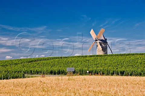 Moulin de Courrian in vineyard of Chteau TourHautCaussan Blaignan Gironde France Mdoc  Bordeaux