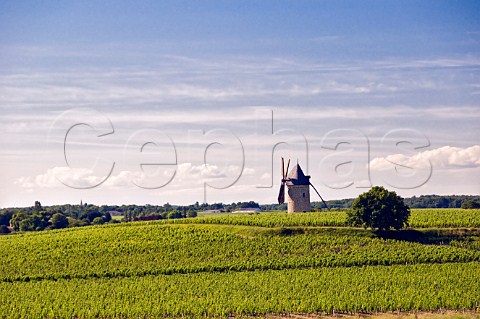 Moulin de Courrian in vineyard of Chteau TourHautCaussan Blaignan Gironde France Mdoc  Bordeaux