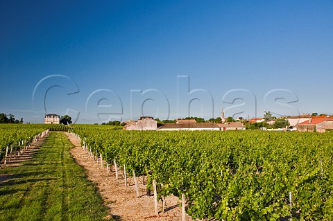 Chteau le Boscq and chai of Les Grands Chnes viewed over vineyards at StChristolyMdoc Gironde France Mdoc  Bordeaux