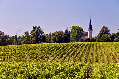 Chteau Verdignan and its vineyards StSeurindeCadourne Gironde France HautMdoc  Bordeaux