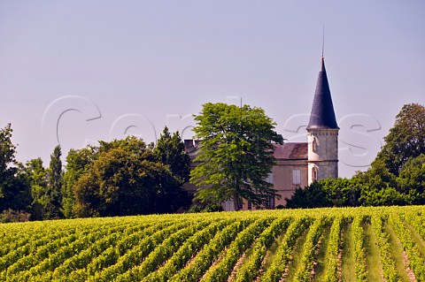 Chteau Verdignan and its vineyard StSeurindeCadourne Gironde France HautMdoc  Bordeaux
