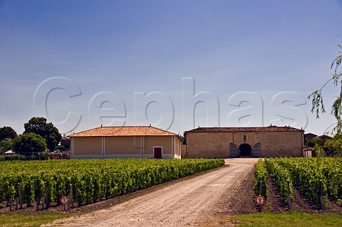 Chai and vineyards of Chteau Tour de Pez Pez Gironde France StEstphe  Bordeaux