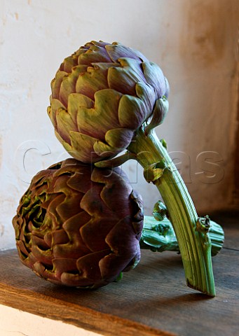 Globe artichokes on wooden shelf