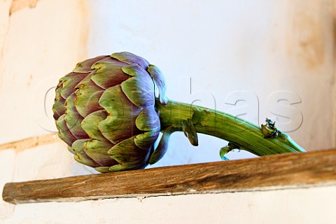 Globe artichoke on rustic shelf