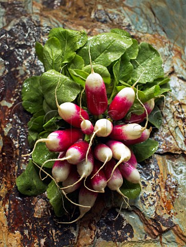 Bunch of radishes on stone