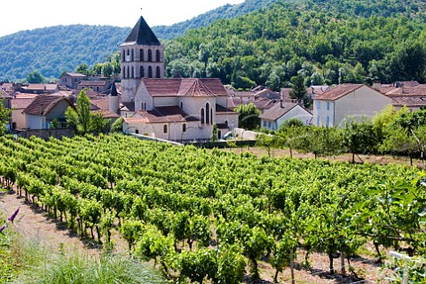 Vineyard at Douelle near Cahors Lot France Cahors