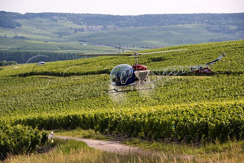 Helicopter spraying vineyard near pernay Marne France Champagne