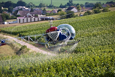 Helicopter spraying vineyard near pernay Marne France Champagne