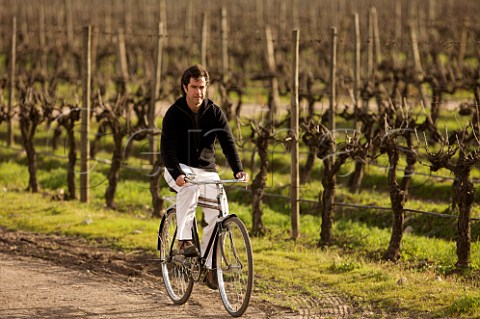 Adolfo Hurtado winemaker cycling through organic Cabernet Sauvignon vineyard of Cono Sur Chimbarongo Colchagua Valley Chile