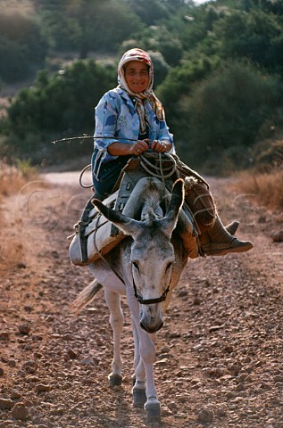 Woman riding on donkey Cephalonia Greece