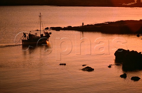 Fishing boat arriving back to harbour at dusk Ios Cyclades Islands Greece