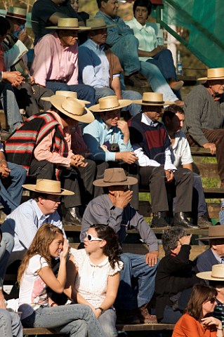 Spectators at a rodeo in Lolol Colchagua Chile